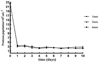 Frontiers Appropriate Particle Size Of Rice Straw Promoted Rumen